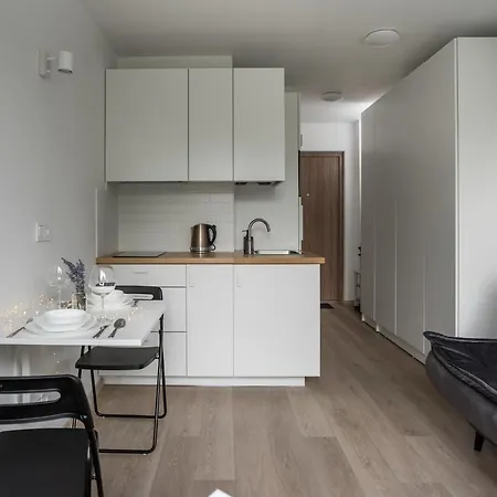 Apartment Nordic 139 In Prime Location Vilnius